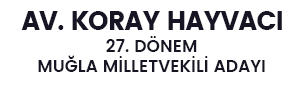 Av. Koray Hayvacı